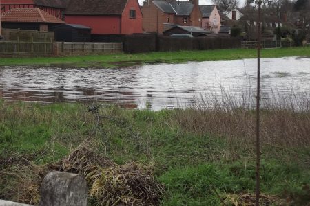 Flooded Field