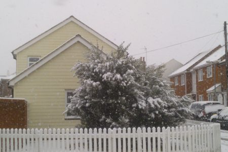 Houses And Bush In Snow