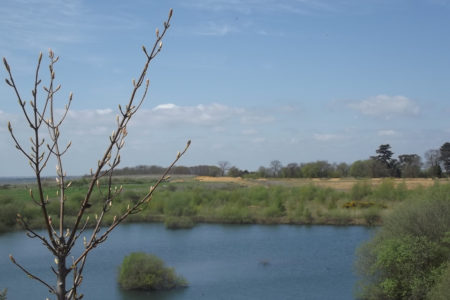 Sping Time At The Quarry In Brightlingsea Essex UK