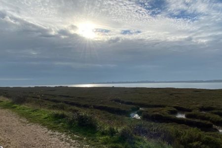 Sun Rays Shinning On River