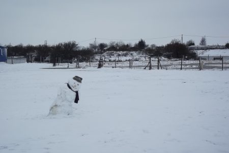 Drunk Snowman