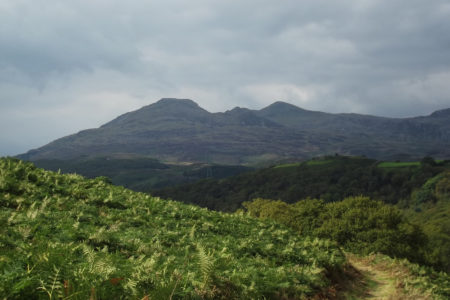 Mountain In Snowdonia Wales